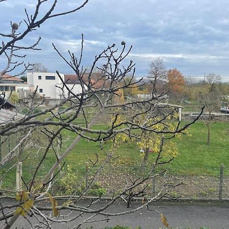 La Grange Proche D'Europapark Apartment Kunheim Bagian luar foto