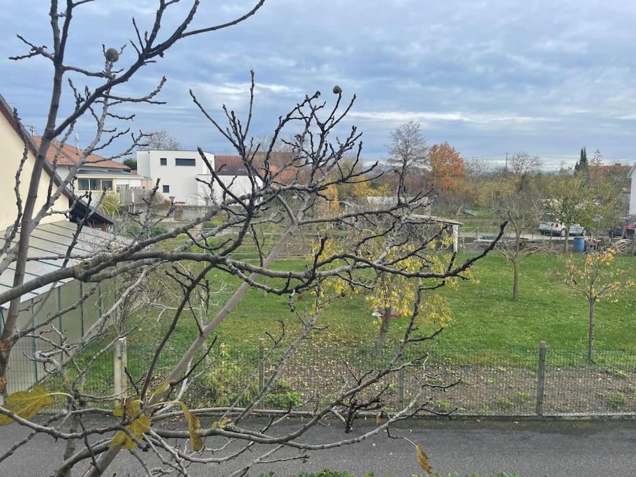 La Grange Proche D'Europapark Apartment Kunheim Bagian luar foto