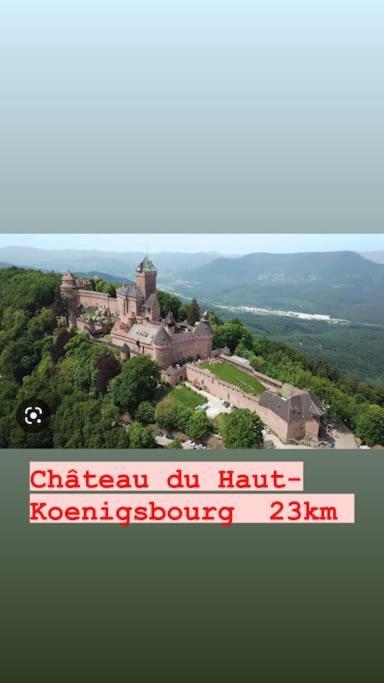La Grange Proche D'Europapark Apartment Kunheim Bagian luar foto