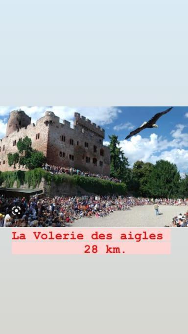 La Grange Proche D'Europapark Apartment Kunheim Bagian luar foto
