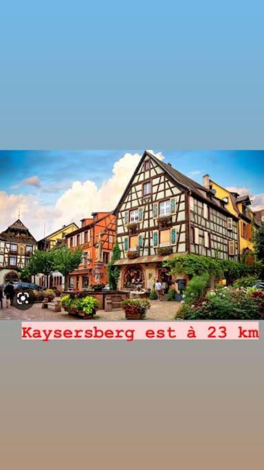La Grange Proche D'Europapark Apartment Kunheim Bagian luar foto