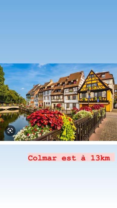 La Grange Proche D'Europapark Apartment Kunheim Bagian luar foto